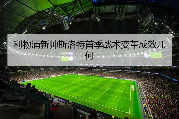 li-wu-pu-xin-shuai-si-luo-te-shou-ji-zhan-shu-bian-ge-cheng-xiao-ji-he-2-462.jpg