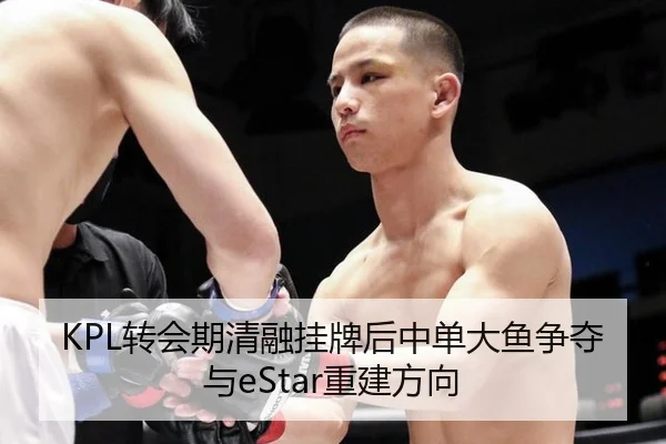 zhuan-hui-qi-qing-rong-gua-pai-hou-zhong-dan-da-yu-zheng-duo-yu-chong-jian-fang-xiang-1-574.jpg
